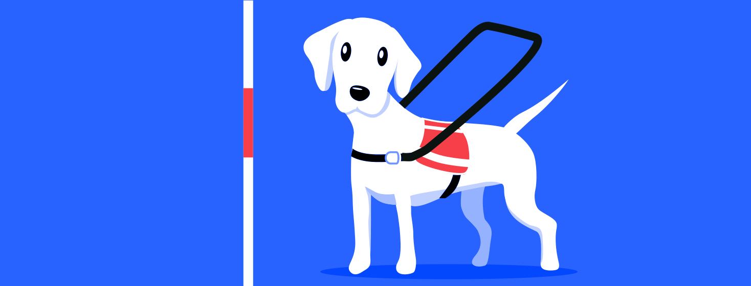 A service dog and a white walking cane.