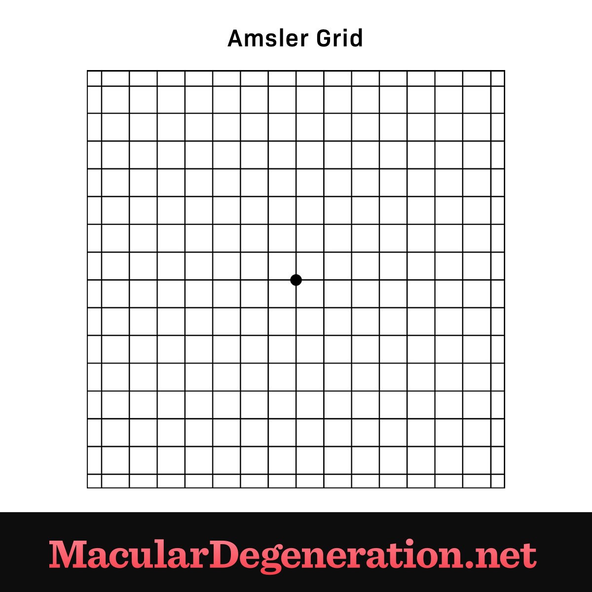 Amsler Grid Pad Recording Chart with White Background