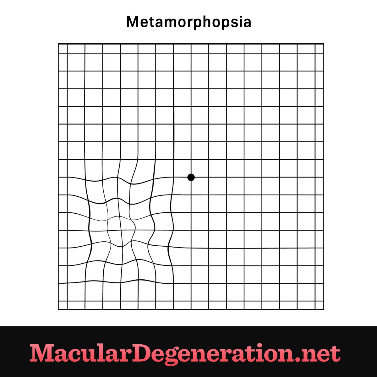 grid with a dot in the center and curved lines in the bottom left corner