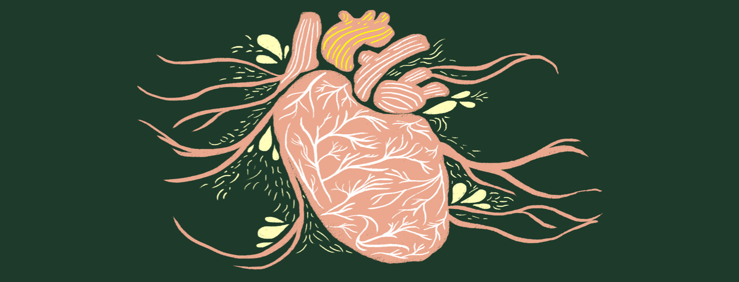 A large pink heart with extended veins that stretch out.