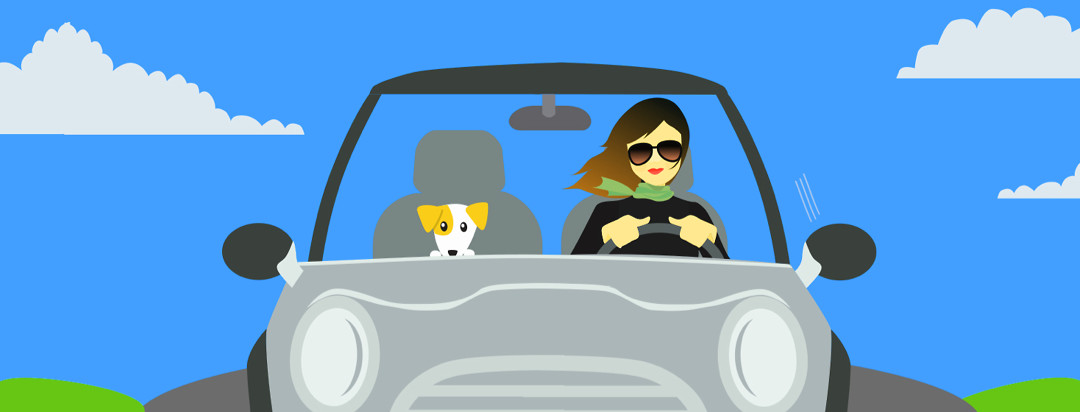 A young woman driving a car wearing sunglasses while her dog is sitting in the passenger seat.