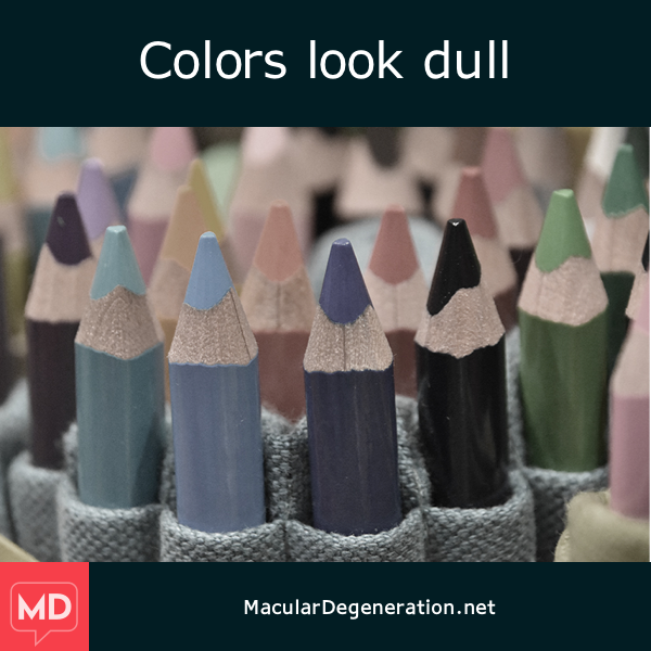 A pack of colored pencils but the colors all appear dull and grey