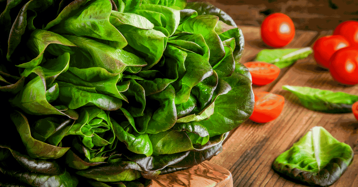 Catalina Taco Salad Recipe | MacularDegeneration.net