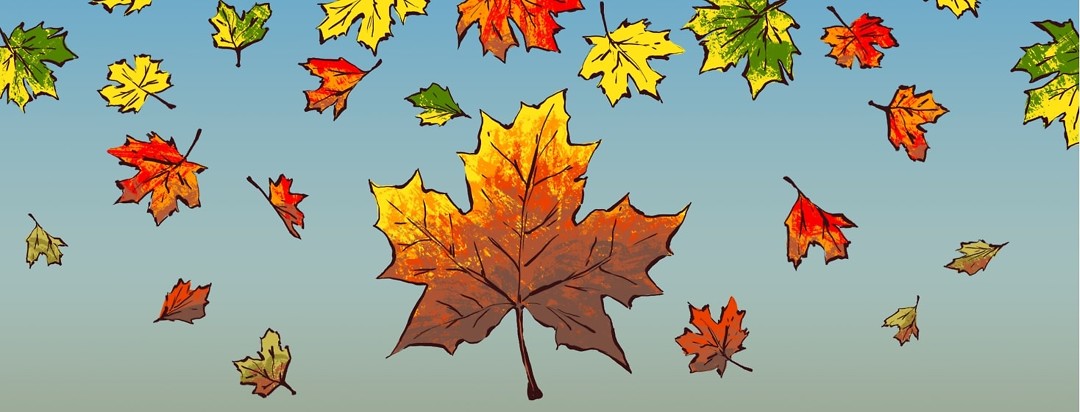 Leaves in shades of green, yellow, red, orange and brown fall gently from the sky. The color of the image is vibrant at the top and less saturated at the bottom.