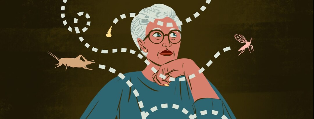 alt=an older woman watches as bugs buzz around her.